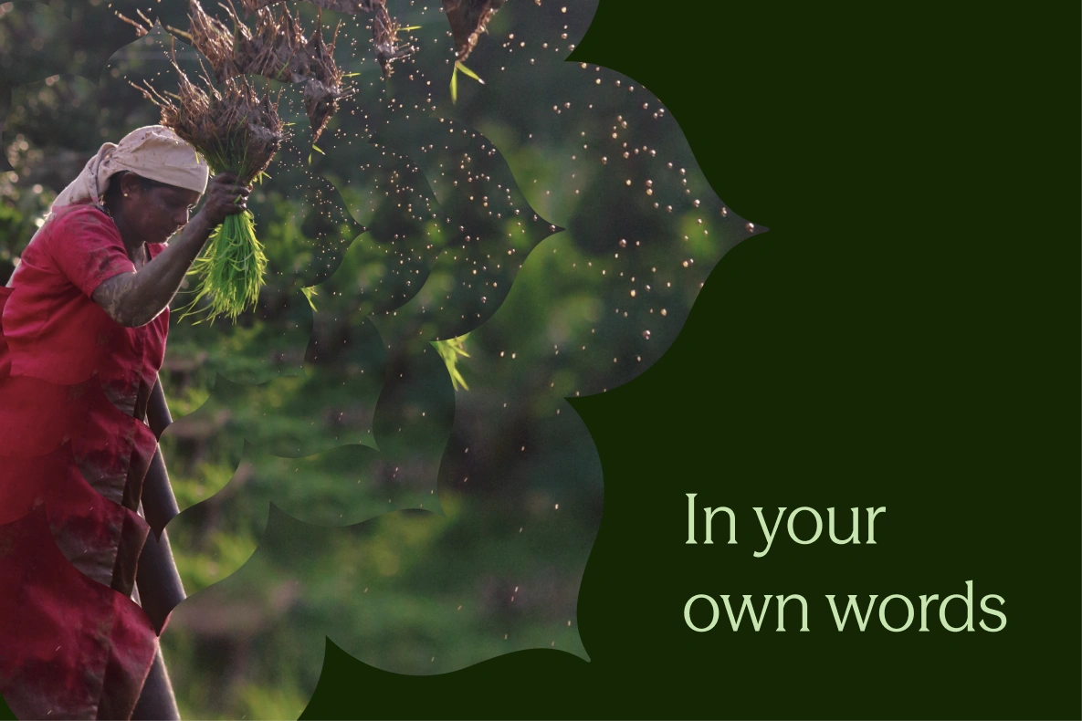 Visual exploration – symbols and motifs